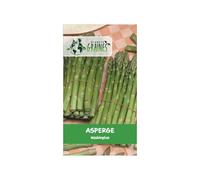100 Graines d'asperge 'Washington' - Variété productive et rustique, idéale pour une culture pérenne et des turions savoureux