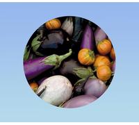 100 graines d'aubergines mixtes variétés anciennes, mélange de couleurs et formes pour ratatouilles et grillades