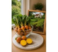 100 Graines de Betterave Golden Beetroot - Beta vulgaris 'Burpee's Golden' - Legume Jardin - 499