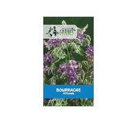 100 Graines de bourrache officinale - Fleurs comestibles et mellifères - facile à cultiver