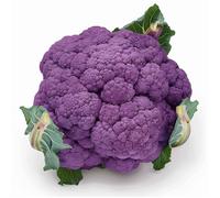 100 Graines de Chou-fleur Violet - SemiSauvage Permaculture
