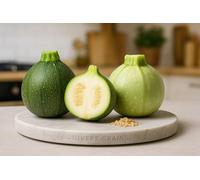 100 Graines de Courge Courgette - RONDE DE NICE - Cucurbita pepo - Idéal pour farcir - Récolte Abondante - Légume Jardin - 381