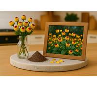 100 Graines de Cresson de PARA - Spilanthes acmella - Toothache Plant - Fleur jaune bout rouge - Fleurs Jardin - 404