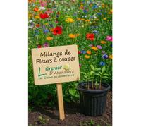 100 graines de Fleurs à semer - Le Grenier d'Abondance - FLEURS EN MELANGE - A couper ou pour bouquets