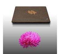 100 graines de Fleurs à semer - Le Grenier d'Abondance - REINE MARGUERITE Plume d'Autruche - Callistephus chinensis