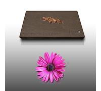 100 graines de Fleurs à semer - Le Grenier d'Abondance - REINE MARGUERITE Simple de Chine - Callistephus chinensis