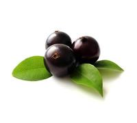 100 graines de fruits de jabuticaba noir