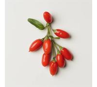 100 Graines de Goji - SemiSauvage Permaculture