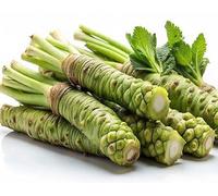 100 graines de légumes verts Wasabi