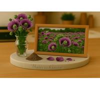 100 Graines de PAPAVER SOMNIFERUM - Hen And Chicken - A capsules groupées - Ornemental - Fleur Jardin - 432