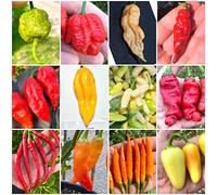 100 GRAINES de PIMENT CHILI dans 10 Variétés Des Plus FORT Au Monde, Collection 3 + Guide: CAROLINA REAPER YELLOW, BEAST, MORUGA BRAIN, BORG 9, BUBBLEGUM, HABANERO, ROCOTO, PEARL, JALAPENO, E-ROTICO