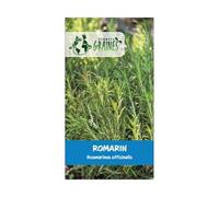 100 graines de romarin -rosemary - rosmarinus officinalis - herbes aromatiques