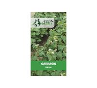 100 Graines de Sarrasin (Blé Noir) - Plante Couvre-Sol, Engrais Vert, Miel - Croissance Rapide, Fleurs Mellifères, Graines Comestibles