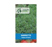 100 graines de sarriette -satujera hortensis - herbes aromatiques - sariette des jardins