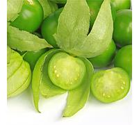 100 Graines de Tomatillo Verte- Physalis tomate jardin - semences paysannes reproductibles - SemiSauvage