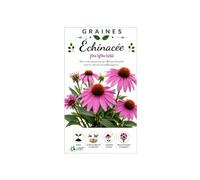 100 graines d'echinacea pourpre echinacea purpurea, fleur vivace mellifère pour massifs et bouquets