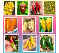 100 Graines des 10 Meilleurs Piments Chili du Monde, Collection Gourmet + Guide: LEMON REAPER, AJI CHARAPITA, HABANERO, FATALII, VIAGRA-NATURAL, JALAPENO, CALABRESE, AJI LEMON, etc
