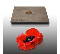 100 graines Fleurs à semer - Le Grenier d'Abondance - PAVOT d'Orient rouge - Papaver orientale
