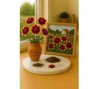 100 Graines Oeillet Œillet d’Amérique tigré - Coreopsis tinctoria - Radiata Tigrina - Rouge et Jaune -