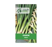 100 graines oignon ishikura - ciboule - oignons japonais - Oignon-poireau - récolte précoce et rapide