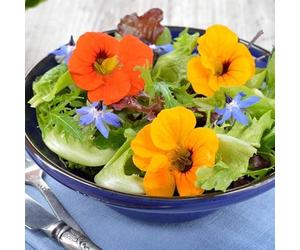 100 Graines Semences - Mélange de 17 Fleurs comestibles - Fruit Légume Apéro - 108