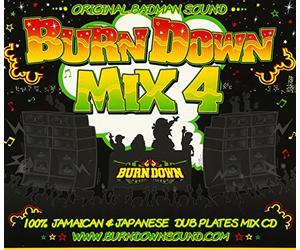 100% JAMAICAN&JAMAICAN DUB PLATES MIX CD BURN DOWN MIX 4