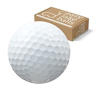 100 Mix DE Marques BALLES DE Golf/LAKEBALLS - QUALITÉ AAAA/AAA (Pearl/A Grade) - dans Le Sacs RÉSEAU