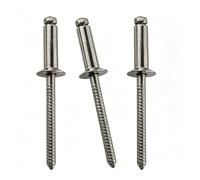 100 Pcs 316 Countersunk Stainless Steel Blind Rivets, 3mm Open End Pop Rivets for Marine Boat, Auto Repair, Sheet Metal(3x8mm)