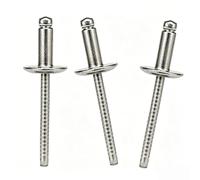 100 Pcs 316 Stainless Steel Blind Rivets, 6mm Open End Pop Rivets with Flat Dome Head for Metal, Furniture, Car, Ships, Motor Vehicles, Mechanical(6x12mm)