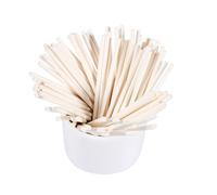 100 PCS Cake Pop Sticks, Bâton de Sucette Coloré Cake Pops Outil de Fabrication 10 cm Réutilisables pour Bonbons Faits Maison, Biscuits, Dessert, Chocolat (Blanche)