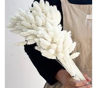 100 pcs Fleurs Séchées Bouquet Décor de Séché Phalaris Graminée Nature Nature du Pelucheux Herbe pour Décoration de Décoration de Maison de Décoration de Mariage Arrangement Floral (Blanc)