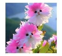 100 Pcs Graines d'Orchidée Chat Rares Graines de Fleur Vivace Non-OGM pour Jardin Extérieur Balcon Pots de Multicolore GRAINE