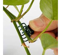 100 Pcs Plante Support Clips de Jardin en Plastique Mini Tiges Fleur Jardin Outils Clips Cultiver Vertical Orchid