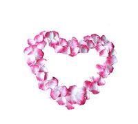 100 PCS réutilisable Soie Rose pétale Fleur Artificielle confettis Bricolage Fournitures d'artisanat pour la Saint-Valentin Surprise Rose et Blanc Nouveau libéré et Populaire