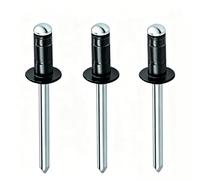 100 pcs rivets aveugles en aluminium à double tambour avec mandrin en fer, rivets pop à tête dôme noire de 4 mm pour métal bois plastique, fixations intérieures et extérieures(4x10mm)