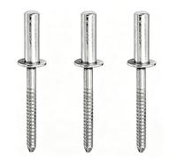 100 PCS Stainless Steel Blind Rivets, 6mm Closed End Pop Rivets with Dome Head for Metal, Furniture, Car, Ships, Motor Vehicles, Mechanical(6x13mm)