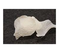 100 pétales en tissu ivoire - hobi dec336iv Beige G