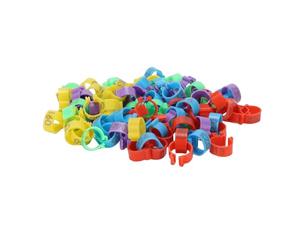 100 Pièces Anneaux de Cuisse de Poulet Bande D'identification Conception Temps Anneau de Jambe D'oiseau de Volaille pour Séparer Les Races de Volaille et Marquer Les Lots D'éclosion