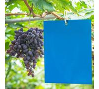 100 Pièces Bleues Mouche piège Double Face, Sticky pièges de Colle Double Face pour Insectes Volants - Serre Et Dehors, Thrips, des Mites de thé, Mouches, Cicadelle de Riz, Ver de Coton