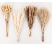 100 Pièces Décoration en Pampas Séchées Pampa Naturelle Décoration Fleurs Séchées Bouquet Décor Pampas avec des Fleurs Séchée de Queue de Lapin, pour Déco Intérieur, Chambre, Boho Mariage