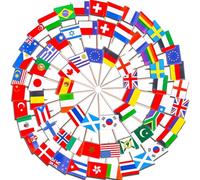 100 Pièces Drapeaux Cure-Dent du Monde,Piques à Drapeau Multinationaux pour cocktail - Double face- Cure-dents pour décoration de fête, cocktail, cupcake
