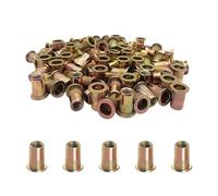 100 pièces écrou à tête plate en acier inoxydable M3 M4 M5 M6 M8 M10 M12 écrou à rivets à capuchon zingué Rivet écrou fileté(M6)