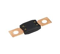 100 pièces fusible ANL voiture fusible boulonné fusible souffler un fusible lame fusible 40A 50A 60A 80A 100A 125A 175A 150A 200A 250A 300A 400A Câblage de protection (Size : 350A)
