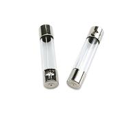 100 pièces Fusible Tube En Verre 5 * 20 MM 0.1A 0.2A 0.5A 0.8A 1A 2A 2.5A 3A 4A 5A 6.3A 7A 8A 10A 12A 15A 20A 30A 250V Fusible Rapide Câblage de protection (Color : 30a)