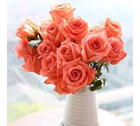 100 pièces Graine de Rose a Planter, Graines Fleurs à Semer, Graine a Planter, Graines de Fleurs pour Jardin et Balcon (Couleur rose)