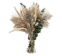 100 Pièces Pampa Séchées Naturelle Décoration, Boho Bouquet Fleur de Pampas, Herbe de la Pampa Naturelle pour DIY Decoration Chambre, Maison, Mariage, Vases