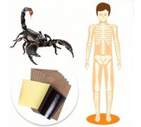 100 pièces Patch de genou avec essence végétale, patch pour le cou, l'épaule et le genou, patch d'acupuncture, patch chauffant, patch chauffant pour le genou longue durée, doux, sans irritation. Tampo