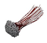 100 pièces PH2.0 Mini Micro JST 2. Connecteur PH mâle à femelle, câbles de borne de prise à 2 broches, cordon de plomb électronique 200MM 26awg