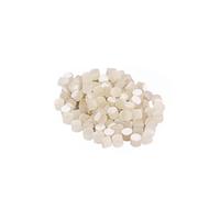 100 Pièces Points Lumineux de Touche de Guitare 4,0mm | Décoration Blanche Miniature, Installation et Retrait Faciles, pour Banjo et Touche, Lot