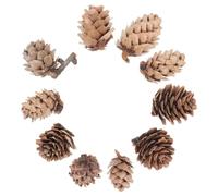 100 Pièces Pommes de Pin Naturelles pour Photographie